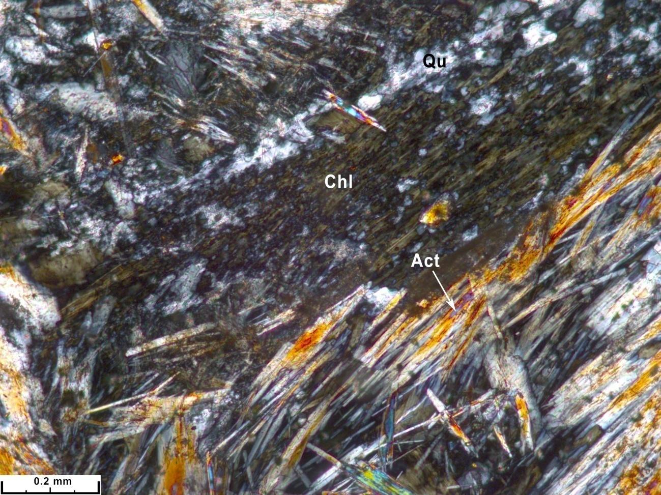 Хлоритолит. На фоне ранних кварца (Qu) и хлорита (Chl) поздние актинолит (Act) и эпидот